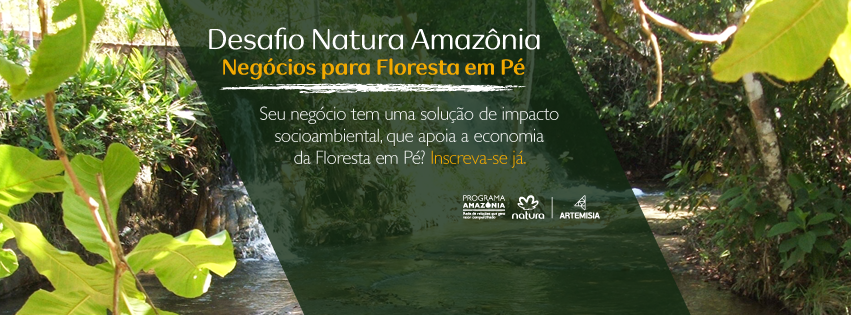 Natura e Artemisia buscam empreendedores de negócios de impacto com foco na Amazônia