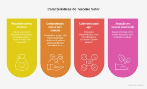 caracteristicas do terceiro setor