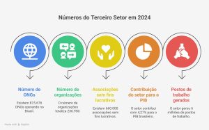 numeros do terceiro setor
