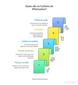cinco pilares do effectuation