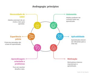 Infográfico colorido apresenta princípios da andragogia: autonomia, motivação, aplicabilidade, experiência prévia, necessidade de saber e aprendizagem orientada.