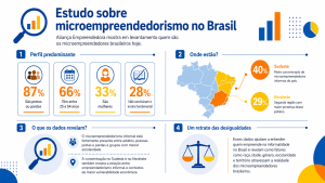 Infográfico colorido mostra perfil racial, idade e gênero em estudo sobre microempreendedorismo no Brasil, destacando desigualdades.